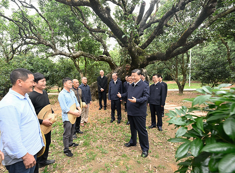 J9国际站备用【唯一】官方网站