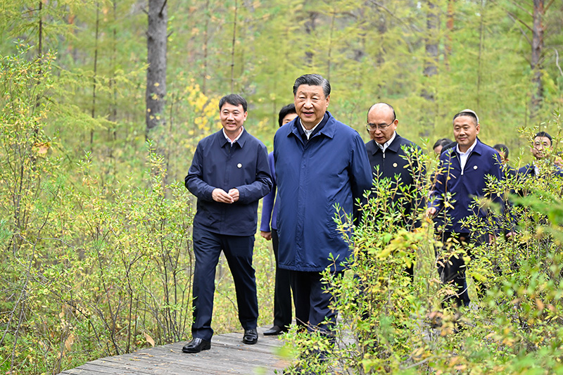 9月6日至8日，中共中央总书记、国度主席、中央军委主席习近平在黑龙江调查。这是6日下午，习近平在大兴安岭地域漠河市漠河林场天然林区调查